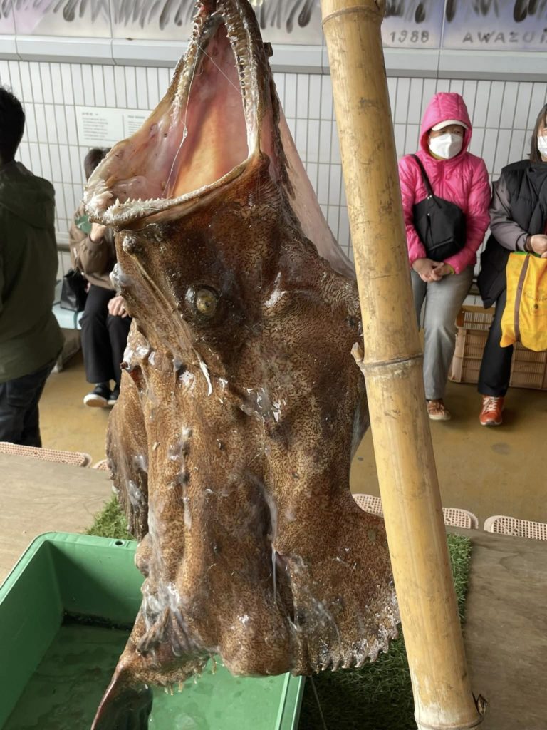 鮟鱇の 骨まで凍てて ぶちきらる | 大井川鐵道社長 鳥塚亮の地域を元気にするブログ