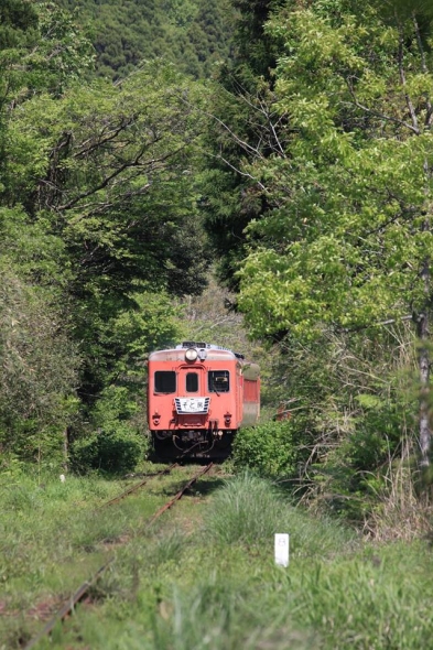 4月29日（日）　春のいすみ鉄道祭　開催